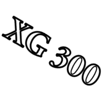 Hyundai 86314-39020 Xg 300L Emblem