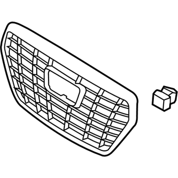 Hyundai 86360-D2210 Radiator Grille Assembly