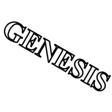 2014 Hyundai Genesis Emblem - 86310-B1000