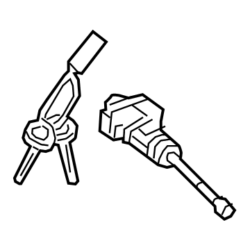 Hyundai 81970-AAA00 Key Sub Set-Door,Lh