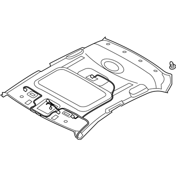 Hyundai 85410-G2160-TTX Headlining Assembly