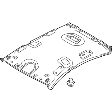 Hyundai 85310-B1020-SG2 Headlining Assembly