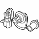 Hyundai 92491-S2000 Rear Combination Outside Holder & Wiring