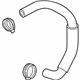 Hyundai 29025-37500 Hose Assembly-Vapor