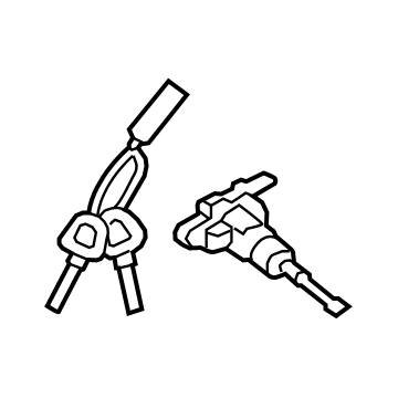 Hyundai 81970-J3A00 Door Key Sub Set Left 81970-J3A00 Hyundai Door Key Sub Set Left Illustration 1 of 1