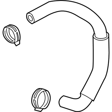 Hyundai 29025-37500 Hose Assembly-Vapor 29025-37500 Hyundai Hose Assembly-Vapor Illustration 1 of 1